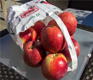 apples 